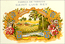 Saint Louis Rey